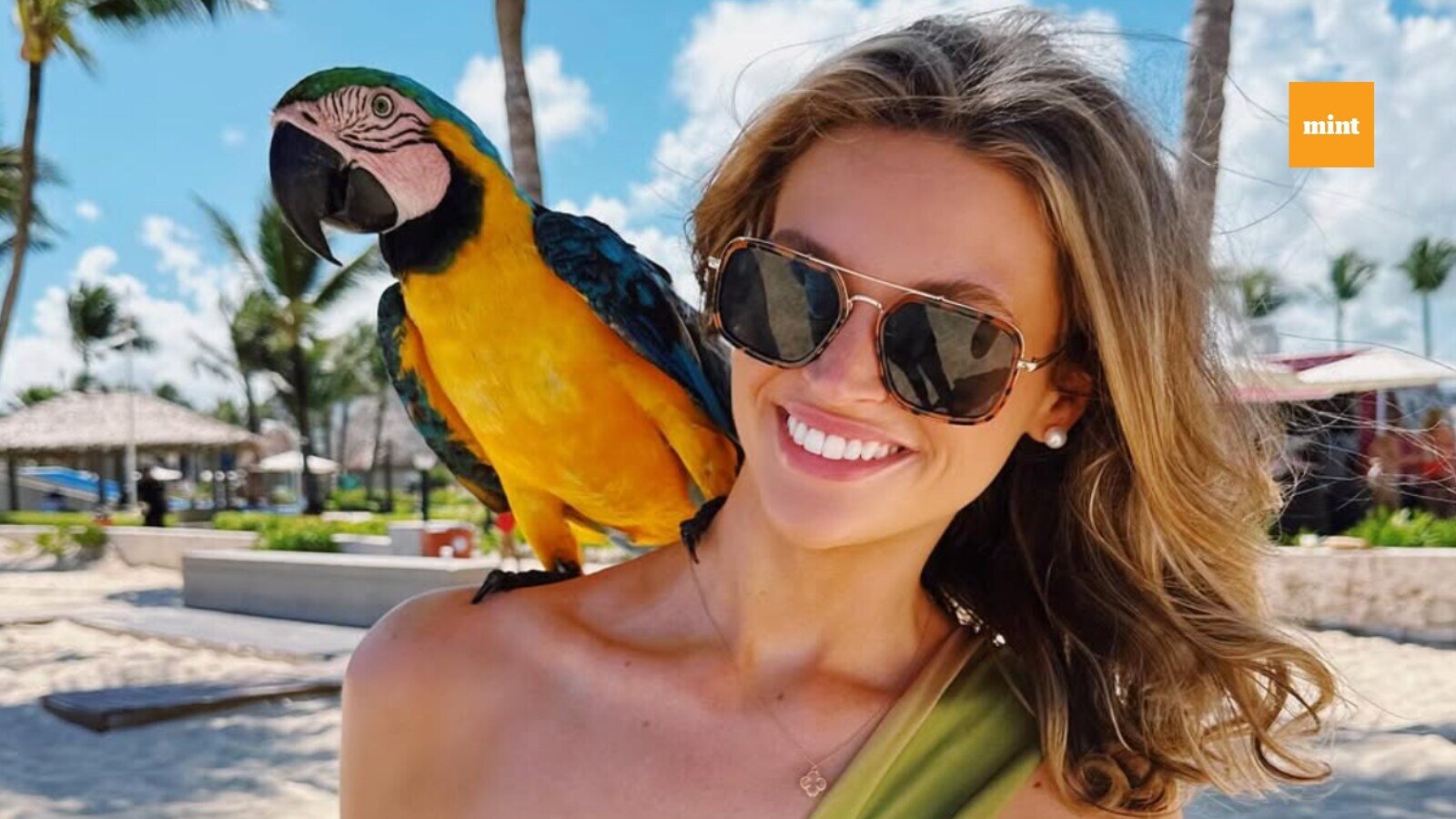 Lily_Stewart_1742816789233_1742816795708.png