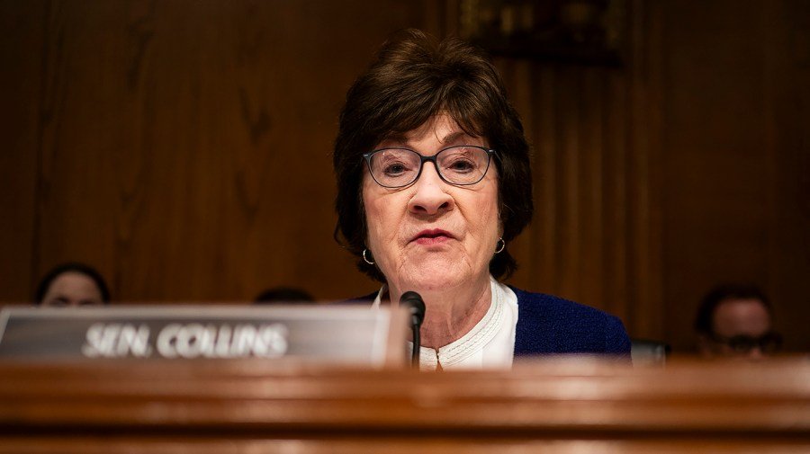 collinssusan_030625gn01_w.jpg