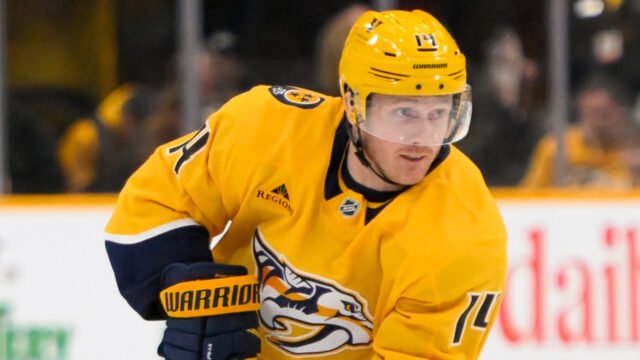 predators-deal-veteran-forward-back-wild.jpg
