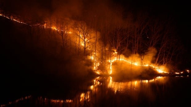 smoke-rising-from-burning-trees-amid-wildfires-in-south-korea.jpg