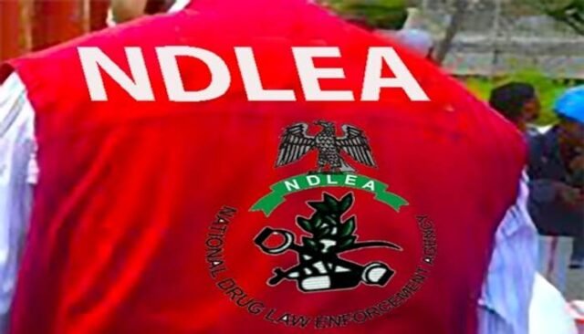 1758263384_NDLEA-1.jpg