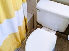 A telefon WC -n történő használata hozzájárulhat a hemorrhoidokhoz – találja meg