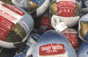 A pulyka árak várhatóan megugranak a súlyosbodó madárinfluenza miatt. Íme, mit tudunk