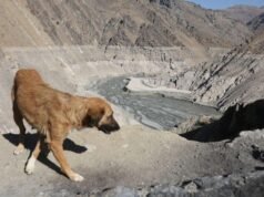 Elfogynak a csapok, miközben Irán aszályválságra néz