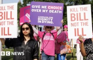 A társak több időt kérnek a támogatott haldoklásról szóló törvény megvitatására