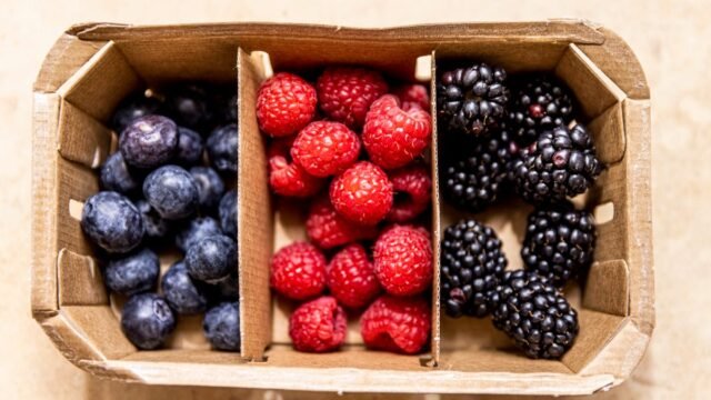berries-in-carton.jpg