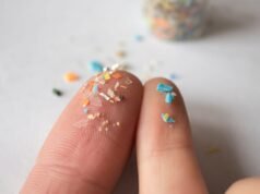 Szeretné elkerülni a mikroműanyagokat az élelmiszerekben? Megtaláltuk a 8 leggyakoribb mikroműanyagot tartalmazó élelmiszert