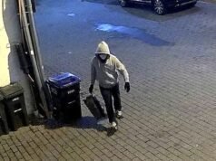 Az ügyészek szerint beismerő vallomást tett a gyanúsított, akit csőbombák elültetésével vádolnak Washingtonban