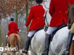 Az új állatjóléti stratégia részeként betiltják a nyomra vadászatot