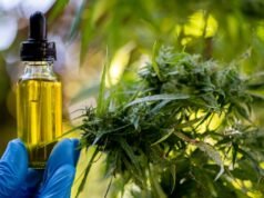 Trump marihuánarendelése mentőövet dob a kenderiparnak