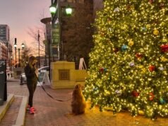 A leghosszabb éjszaka: Rövid útmutató a téli napfordulóhoz