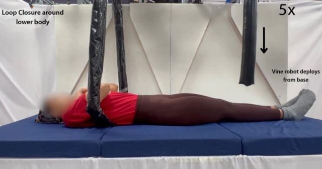 vine-like-robot.jpg